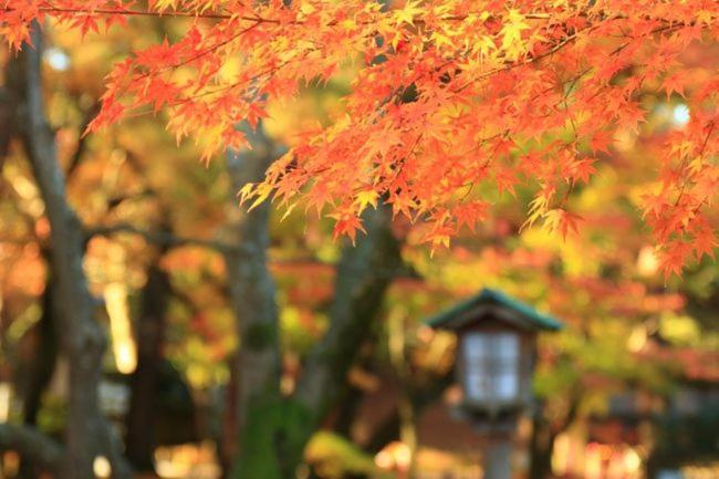 Kanazawa Machiya Inn Hana Exterior photo
